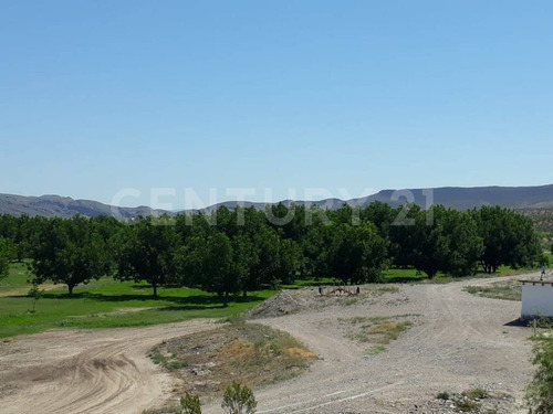 Rancho En Venta En Coyame Chihuahua