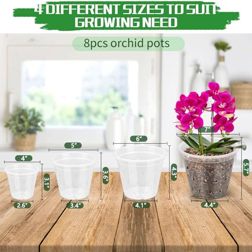 Macetas Transparentes Para Orquídeas Con Agujeros, Juego De