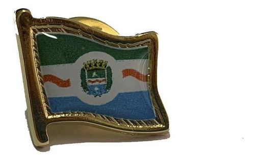 Pin Da Bandeira De Maceió