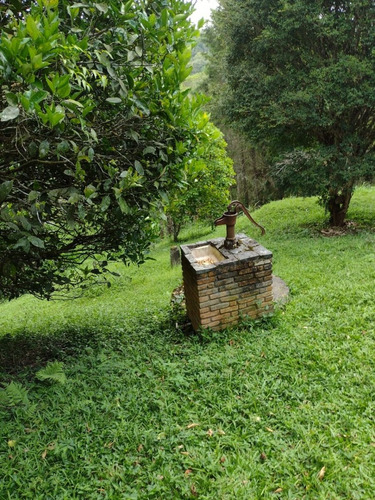 Imagem 15 de 17 de Chácara À Venda Em Juquitiba Com Piscina Lago 20.000 M² Pomar