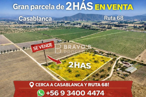 Oportunidad Venta Parcela De 2 Hás Colindante A Viña Indómit