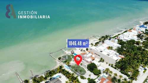 Terreno En Venta  En Progreso, Yucatan. Mtv315.