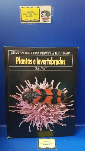 Plantas E Invertebrados #6 - Enciclopedia Didáctica Salvat 