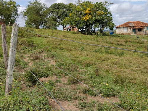 Imagem 12 de 13 de Chácara 1,5 Alqueires Não Tem Casa Só Terra,400mts Do Asfalto,localização Nobre,agua Cristalina Nascente,27 Kms Do Centro De Itapetininga - Ch00082 - 69505785