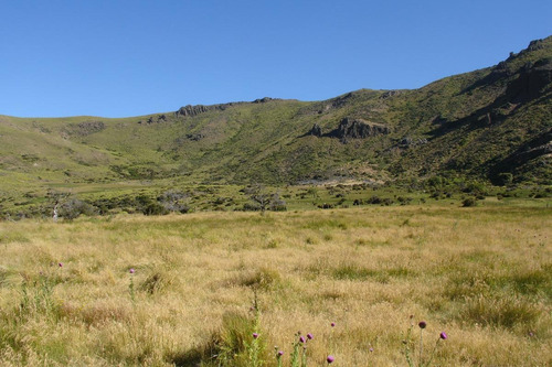 Imagen 13 de 30 de Campo En Venta Zona Alumine, Neuquén