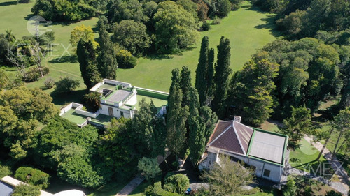 Campo - Villa Elisa