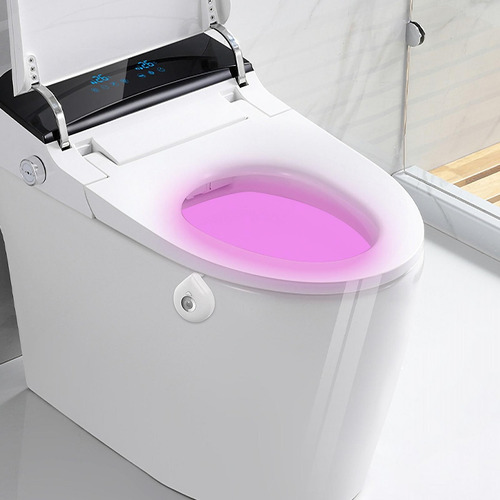 Luz De Inodoro Que Cambia De Color Luz De Inodoro Activada P