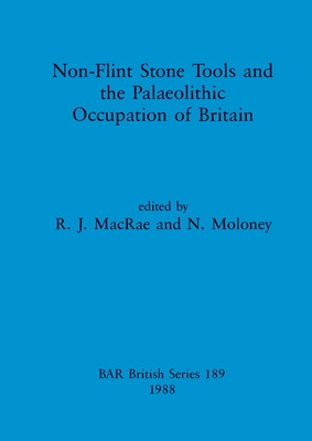Libro Non-flint Stone Tools And The Palaeolithic Occupati...
