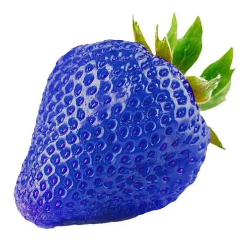 300 Sementes De Morango Azul Da Polpa Vermelha | MercadoLivre