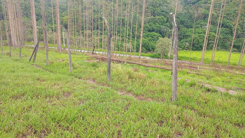 Imagem 11 de 14 de 31-+ Adquira Já Terreno A Venda Em Arujá