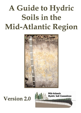 Libro A Guide To Hydric Soils In The Mid-atlantic Region ...