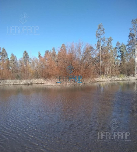 Imagen 2 de 3 de Venta - Terreno Héctareas Chacra - Arroyito, Plottier, Neuquén