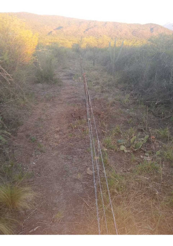 Imagen 4 de 6 de Campo Ganadero Alquilo, Tiene Mucho Pasto Y Agua V.dolores