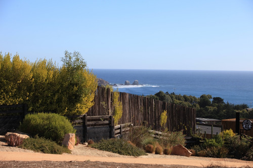 Vista Panorámica Al Mar En Punta De Lobos