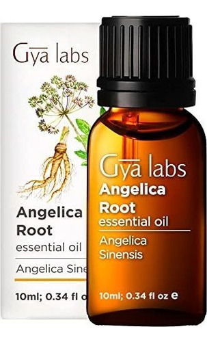  Aceite Esencial De Raiz De Angelica - Gya Labs - 0.3 Fl Oz