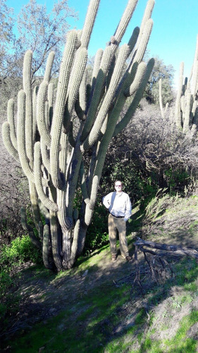 Reserva Oasis De La Campana, Ocoa