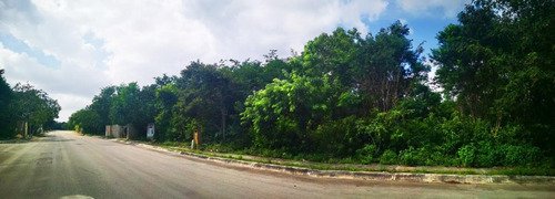 Imagen 4 de 21 de Terreno - Los Arrecifes Lotes Condominales En Venta, En Playa Del Carmen