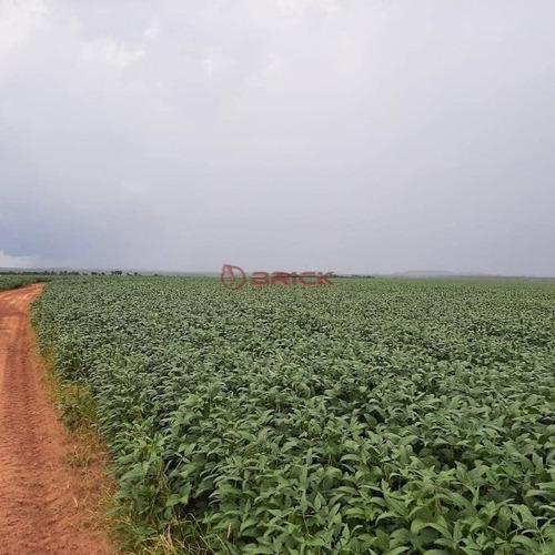 Imagem 9 de 9 de Fazenda A Venda Em Santa Maria Do Tocantins, Com Dupla Aptidão, Por R$ 60 Milhões Com 3.789 Hectares. - Fa00068 - 70732060