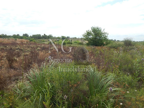 Imagen 7 de 14 de 3 Padrones De Campo Para Inversión!