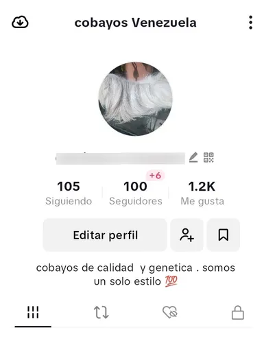 Cobayo Pelo Largo Puros Publicado Aplica Solo Para Machos