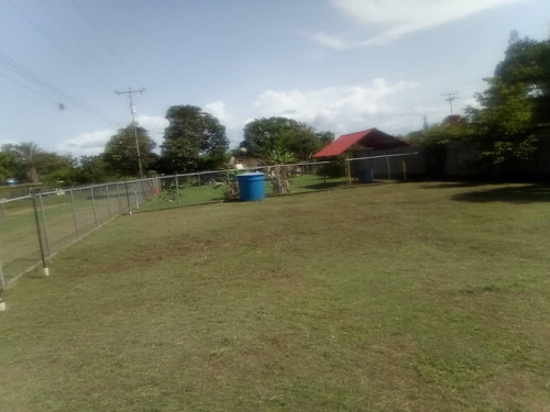 Imagen 1 de 4 de Lote De Terreno En Sector Los Alpes, Tacarigua De Mamporal