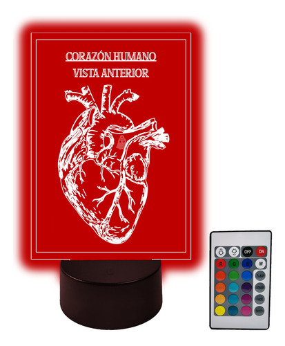 Lámpara Acrílica Anatomía Vintage Corazón Vista A 16 Colores