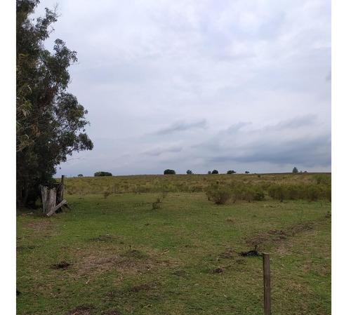 Vendo Muy Lindo Campo De 11 Has, Casa, Monte, Tajamar, Zona Tranquila Consulte