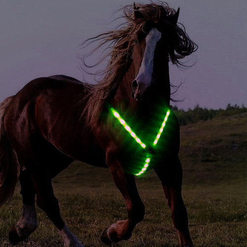 Arnés Ajustable Del Collar De La Coraza Del Led Con Verde