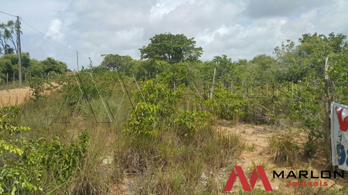 Imagem 4 de 5 de Terreno Pium