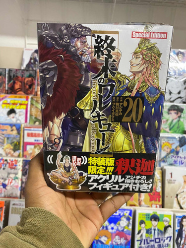 Récord Of Ragnarok 20 Edición Especial En Japonés