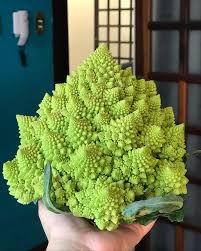420 Sementes De Couve Romanesco Brócolis Vasos E Canteiros.