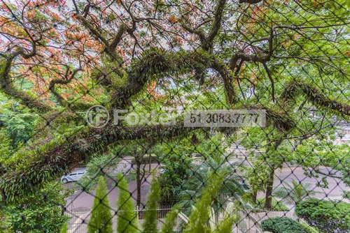 Imagem 5 de 30 de Apartamento, 3 Dormitórios, 123.86 M², Petrópolis - 183527