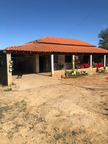 Imagem 19 de 19 de Chácara 6000m2, Casa Sede Com 220m2, 3 Dormitórios, 2 Banheiros, 3 Vagas Cobertas, Varanda, Área Gourmet, Cozinha Americana, Ótima Localização - Ch00290 - 71043879