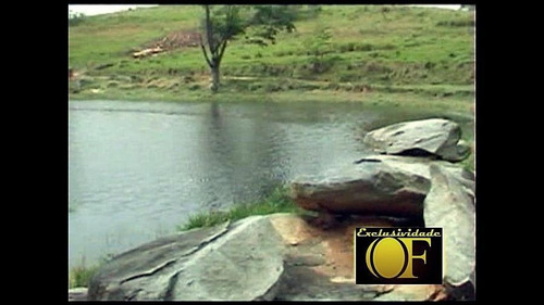 Imagem 7 de 10 de Sítio Para Venda Em Amparo, Rural - Sit 023_1-2383828