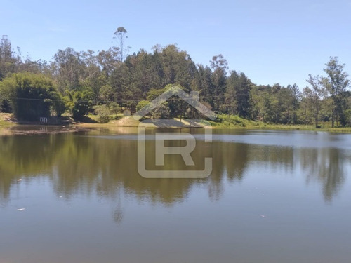 Imagem 1 de 30 de Lindo Sítio Em Juquitiba Com Imenso Lago, Piscina, Nascentes - 92 - 70323419