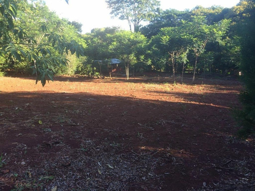 Imagem 13 de 23 de Chácara Com 4 Dormitórios À Venda, 9000 M² Por R$ 750.000,00 - Aparecidinha - Santa Terezinha De Itaipu/pr - Ch0024