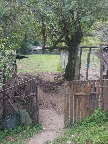 Imagem 10 de 16 de Sítio - Mogi Das Cruzes - Ch0010