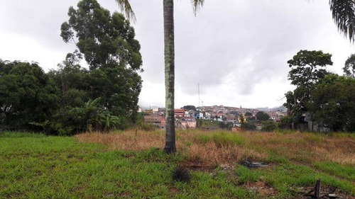 Imagem 10 de 19 de Ótimo Terreno Com Platô Pronto Em Santa Branca - Te0215
