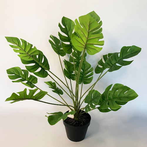 Imagen 5 de 10 de Planta Artificial Costilla De Adán Decoración 55 Cm