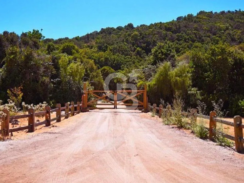 Parcela Ecológica Autosustentable, Melosilla