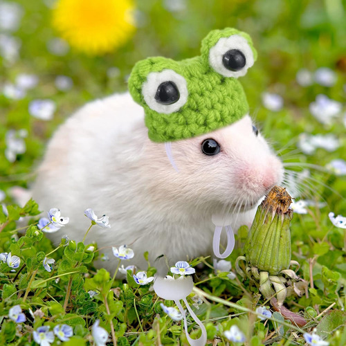 Gorro De Hámster De 4 Piezas Para Animales Pequeños Con Corr