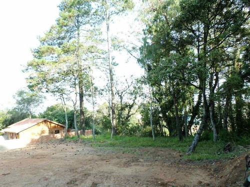 Imagem 2 de 5 de Terreno - Belem Novo - Ref: 278061 - V-278061