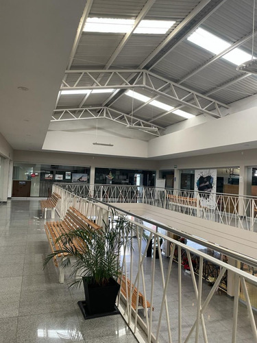 Renta De Local En Metepec