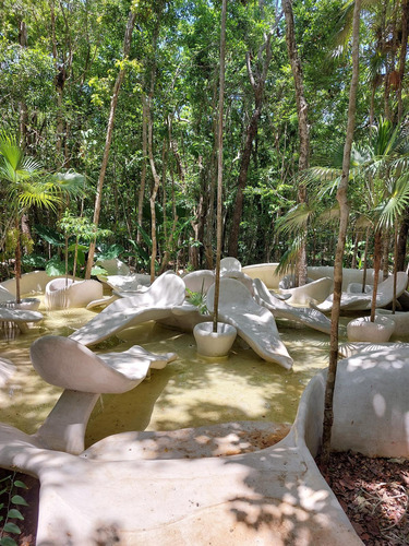 En Venta Lotes Condominales A Lado De Aldea Zama En Selva Zama Tulum (902)