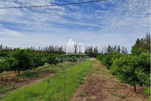Imagen 9 de 15 de Campo En Venta De 20 Has. En Ruta Nacional 14