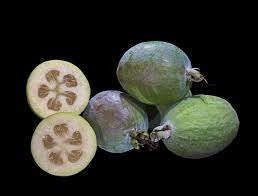 Plantas Guayabo Del Pais Aprox 1.40mts Autoctonas Deliciosas