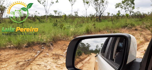 Imagem 9 de 9 de Fazenda À Venda Em Recursolândia -t0 - 3998 Hectares (dupla Aaptidão) - 1592