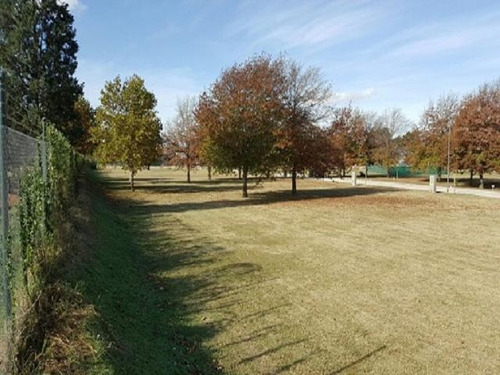 Imagen 6 de 10 de Lote Venta