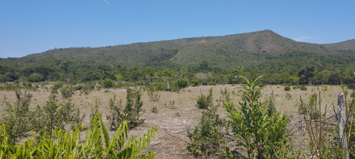 Em São Gonçalo Do Rio Preto Minas Gerais Sitio
