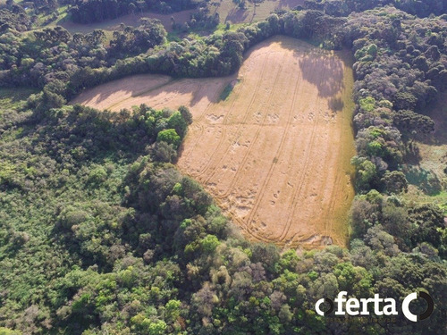 Imagem 7 de 14 de Chacara - Tiete - Ref: 573 - V-573